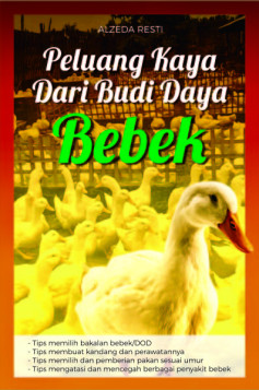 Peluang Kaya dari Budi Daya Bebek